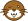 Wink Wink
